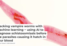 People often contract schistosomiasis through water contaminated with infected snails and feces. defun/iStock via Getty Images Plus